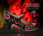 Preview: Flamenco shoes by Begoña Cervera Model Bordado Cordonera II M19 Individuell