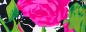 Mobile Preview: Crespon Koshibo mit großen Rosen