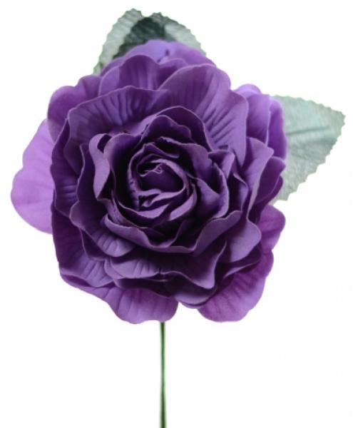 Flamencoblume violett
