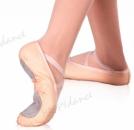 ballet shoes